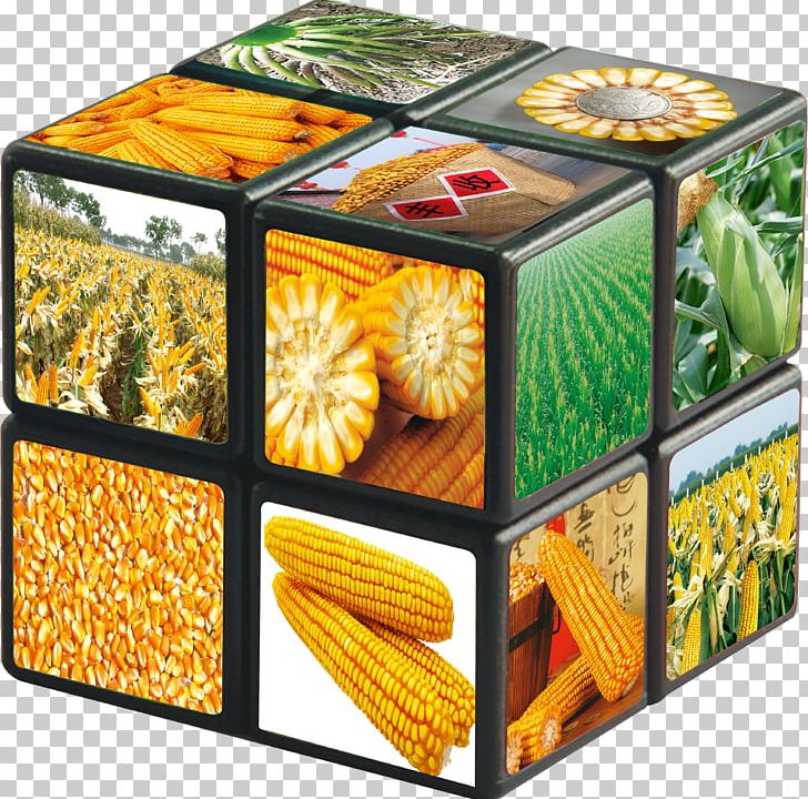 Corn On The Cob Maize PNG, Clipart, Advertising, Art, Cartoon, Cartoon Corn, Caryopsis Free PNG Download