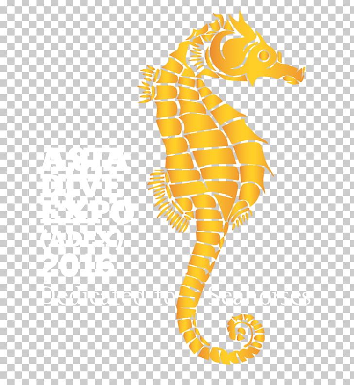 Seahorse Tourism Turkey Travel Technology Asia PNG, Clipart, Animals, Asia, Business Tourism, Fair, Fish Free PNG Download