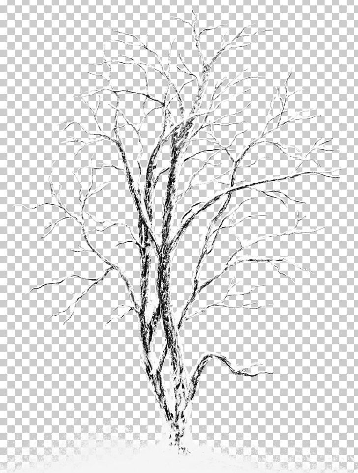 Snow Tree Stock Photography PNG, Clipart, Artwork, Black And White, Branch, Christmas, Christmas Tree Free PNG Download