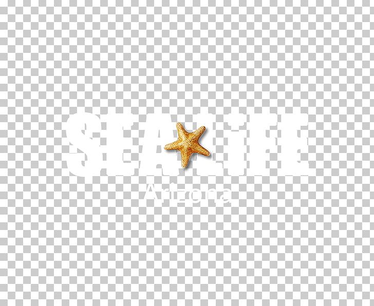 Starfish Body Jewellery PNG, Clipart, Animals, Body Jewellery, Body Jewelry, Invertebrate, Jewellery Free PNG Download