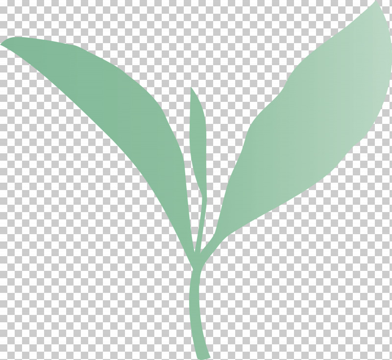 Tea Leaves Leaf Spring PNG, Clipart, Common Sage, Eucalyptus, Flower, Leaf, Lily Of The Valley Free PNG Download