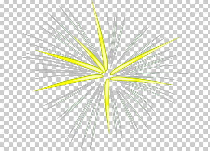 Fireworks Animation PNG, Clipart, Animation, Circle, Computer, Desktop Wallpaper, Firecracker Free PNG Download