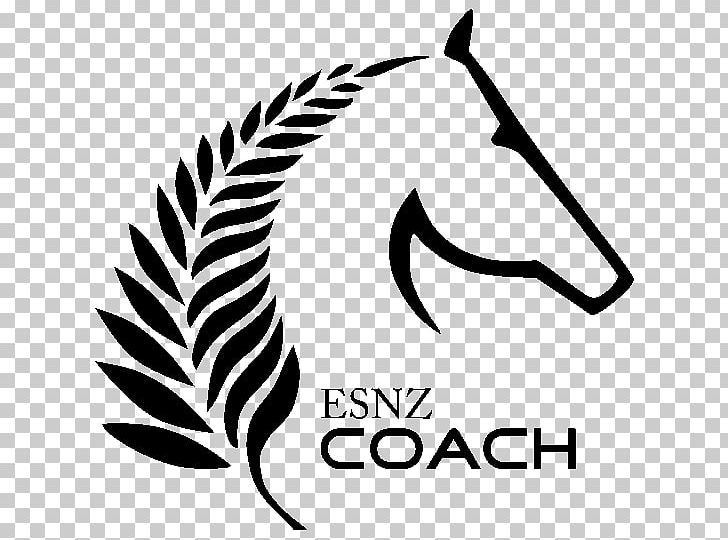 New Zealand Equestrian Badminton Horse Trials Sport PNG, Clipart, Animals, Area, Artwork, Beak, Black Free PNG Download