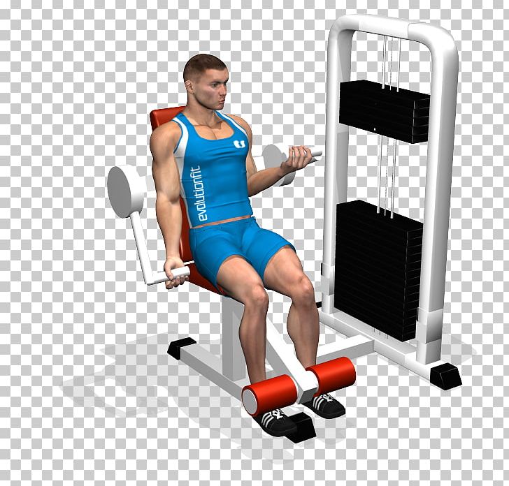 Weight Training Biceps Curl Exercise Machine PNG, Clipart, Abdomen, Abdominal Exercise, Arm, Bench, Biceps Free PNG Download
