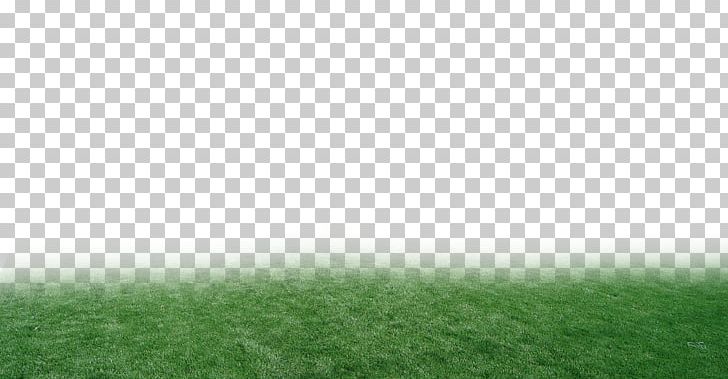 Artificial Turf Atmosphere Grassland Land Lot Sunlight PNG, Clipart, Artificial Grass, Artificial Turf, Atmosphere, Family, Field Free PNG Download