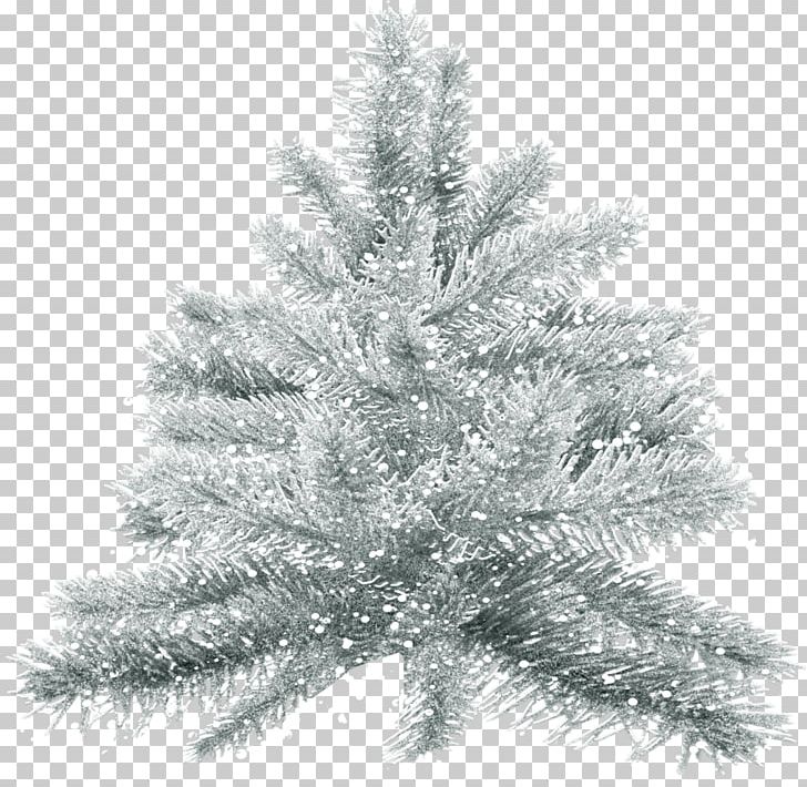 Desktop Winter Time Tone Drop Snow PNG, Clipart, Black And White, Branch, Christmas, Christmas Decoration, Christmas Ornament Free PNG Download