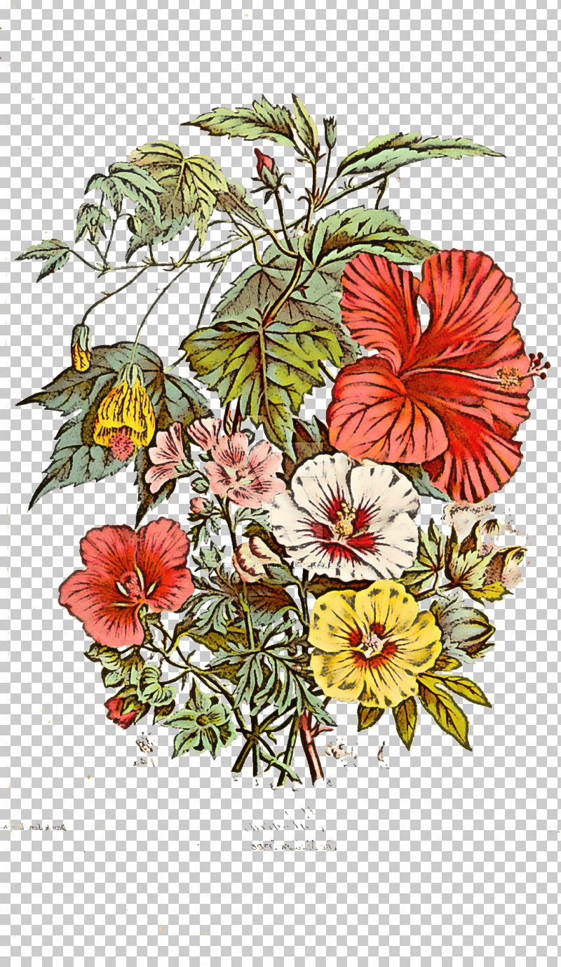 Floral Design PNG, Clipart, Anthurium, Begonia, Bouquet, Branch, Floral Design Free PNG Download