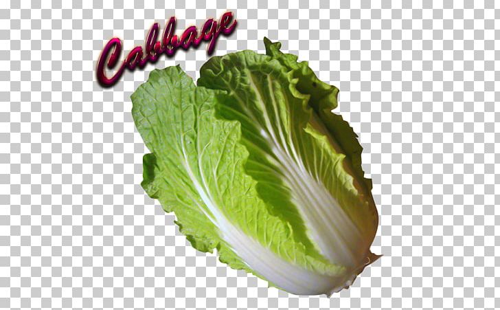 Collard Greens Spring Greens Romaine Lettuce PNG, Clipart, Cabbage, Chard, Collard Greens, Food, Leaf Free PNG Download