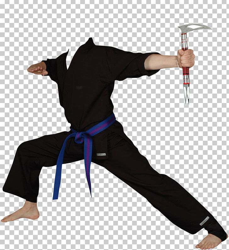 Karate Photography PNG, Clipart, Computer Software, Joint, Karate, Kuk Sool Won, Photography Free PNG Download