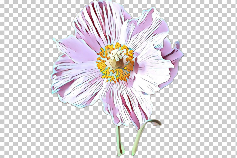 Flower Plant Petal Gerbera Cut Flowers PNG, Clipart, Aster, Barberton Daisy, Cut Flowers, Flower, Gerbera Free PNG Download