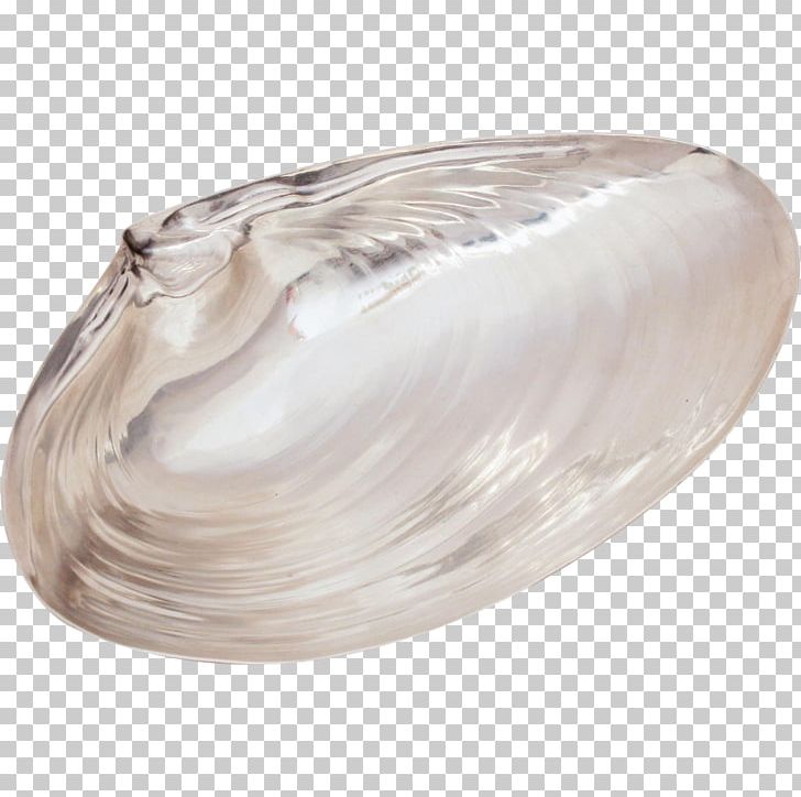 Clam Mussel Oyster Silver Scallop PNG, Clipart, Animals, Clam, Clams Oysters Mussels And Scallops, Jewelry, Mussel Free PNG Download