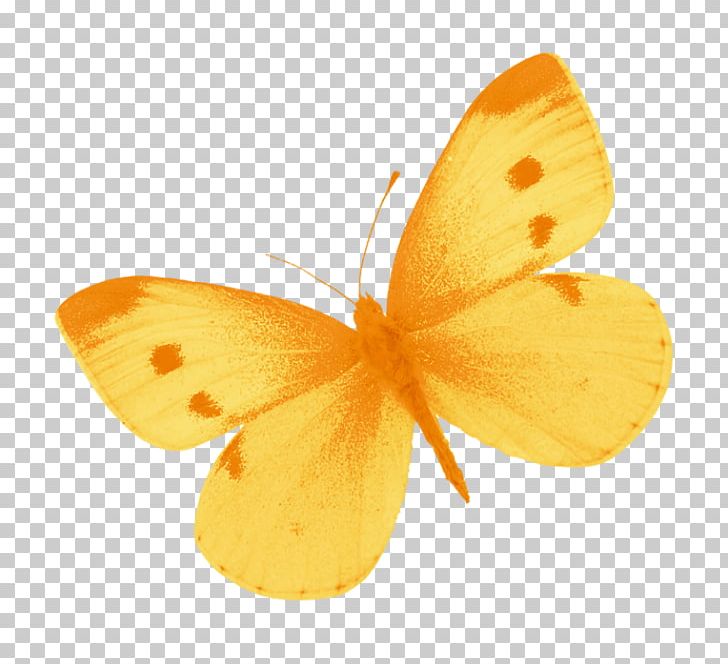 Butterfly Yellow PNG, Clipart, Arthropod, Brush Footed Butterfly, Butterflies And Moths, Butterfly, Download Free PNG Download