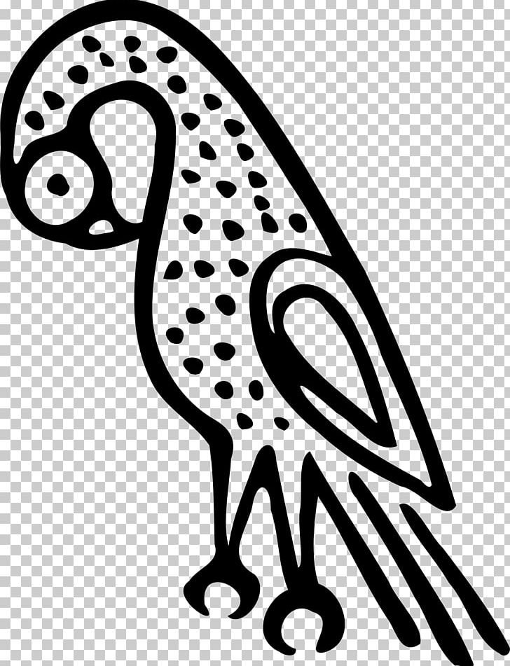 Drawing PNG, Clipart, Artwork, Beak, Bird, Bird Clipart, Black And White Free PNG Download