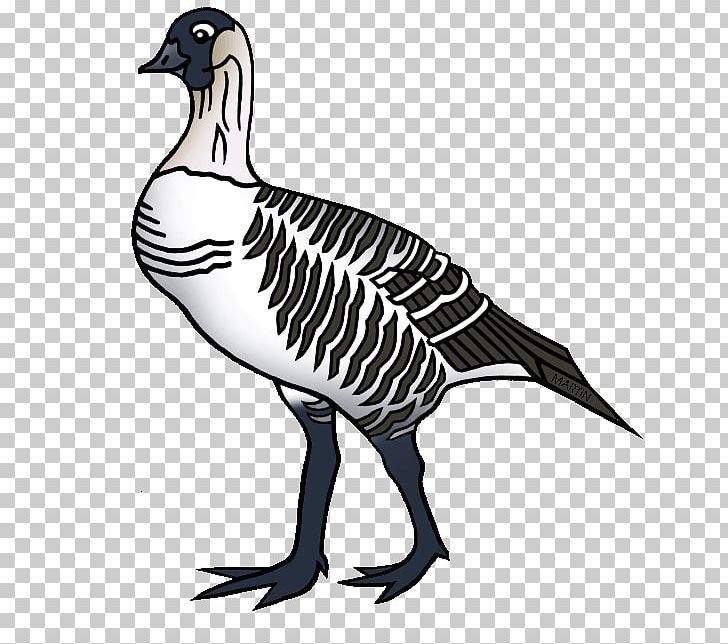Duck Goose Hawaii Nene PNG, Clipart, Animals, Artwork, Beak, Bird, Bird Clipart Free PNG Download