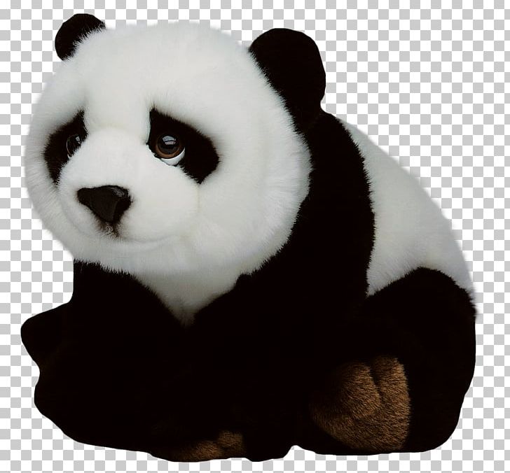 Giant Panda Red Panda Vecteur PNG, Clipart, Animals, Baby Panda, Bear, Carnivoran, Chart Free PNG Download
