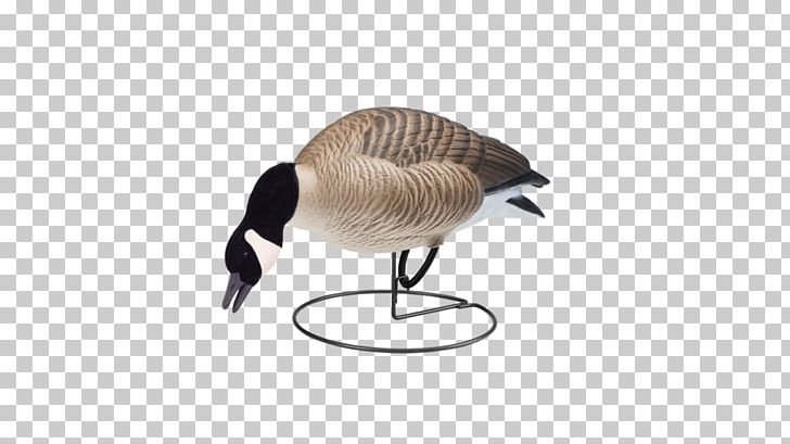 Goose Decoy Duck Waterfowl Hunting PNG, Clipart, Animals, Approach, Beak, Bird, Decoy Free PNG Download