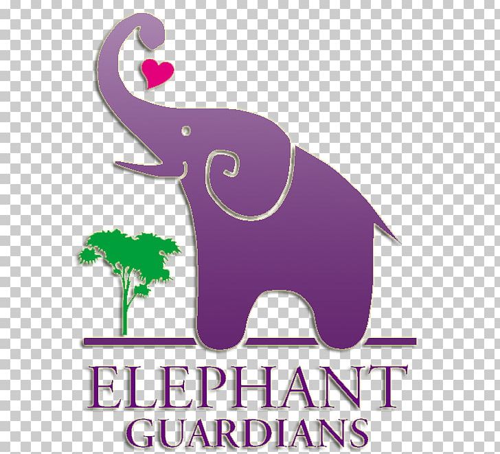 Indian Elephant Los Angeles Zoo Elephantidae Bull Circus PNG, Clipart, Asian Elephant, Bull, Circus, Donation, Elephant Free PNG Download
