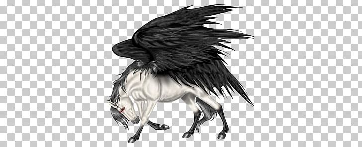 Pegasus PNG, Clipart, Pegasus Free PNG Download