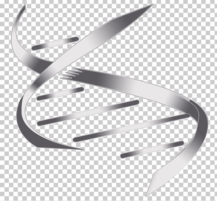 Nucleic Acid Double Helix DNA Information PNG, Clipart, Angle, Biotechnology, Data, Dbi, Delaware Free PNG Download
