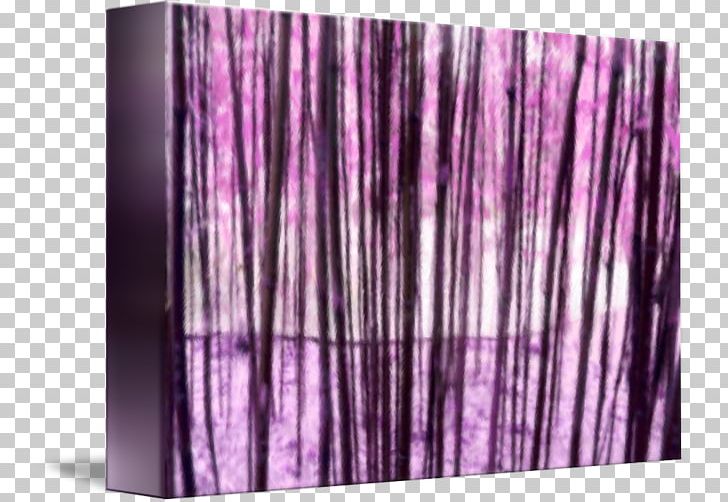 Wood Purple /m/083vt PNG, Clipart, M083vt, Nature, Purple, Violet, Wood Free PNG Download