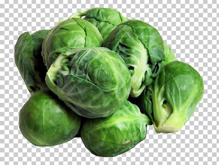 Brussels Sprout Vegetable Broccoli Sprouts Sprouting Food PNG, Clipart, Broccoli, Brussels Sprout, Cabbage, Cauliflower, Collard Greens Free PNG Download