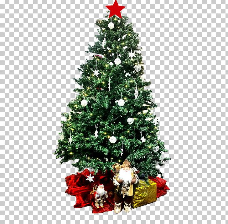 Christmas Tree PNG, Clipart, Christmas Tree Free PNG Download