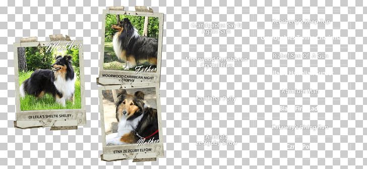 Dog Advertising Brand PNG, Clipart, Advertising, Animals, Brand, Dog, Dog Like Mammal Free PNG Download