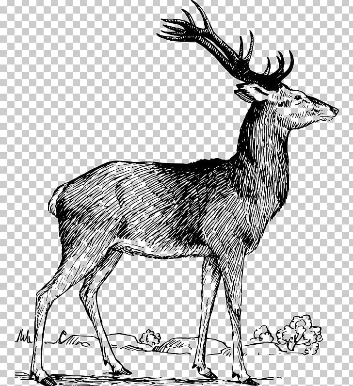 Elk Red Deer Moose Antler PNG, Clipart, Animal, Animals, Antelope, Antler, Black And White Free PNG Download