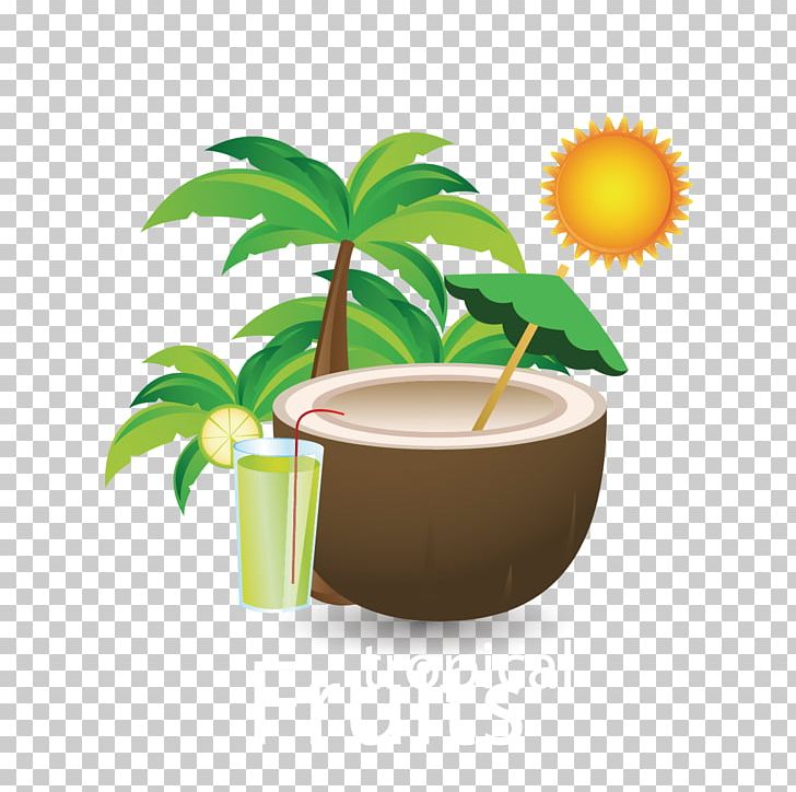 Juice Coconut Water Coconut Milk PNG, Clipart, Christmas Tree, Coconut, Coconut Tree, Coconut Vector, Coffee Cup Free PNG Download