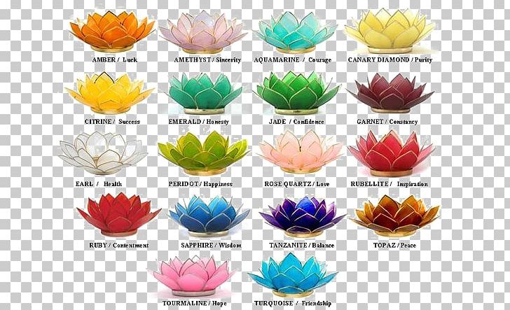 Nelumbo Nucifera Color Symbolism Flower Plant Symbolism PNG, Clipart, Birth Flower, Candle, Collection, Color, Color Flowers Free PNG Download