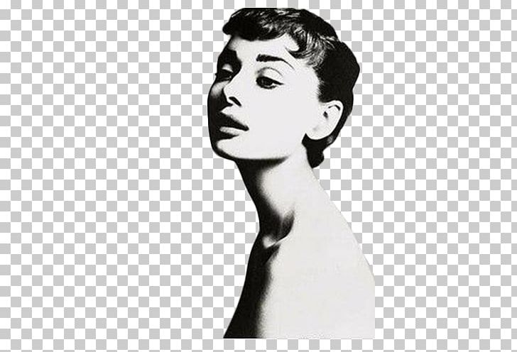 Photographer Photography Portrait Actor PNG, Clipart, Adult, Adult Birthday, Adult Child, Audrey Hepburn, Beautiful Free PNG Download