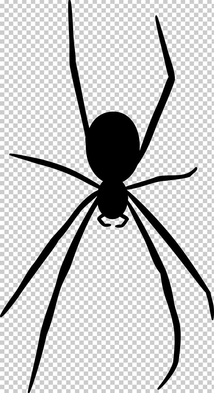 Spider Web Silhouette PNG, Clipart, Arachnid, Arthropod, Artwork, Black And White, Computer Icons Free PNG Download