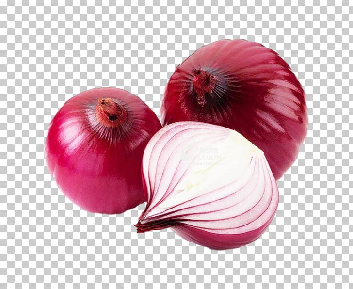 Red Onion Vegetable Food Potato Onion White Onion PNG, Clipart, Fall, Food, Food Drinks, Garlic, Hair Free PNG Download