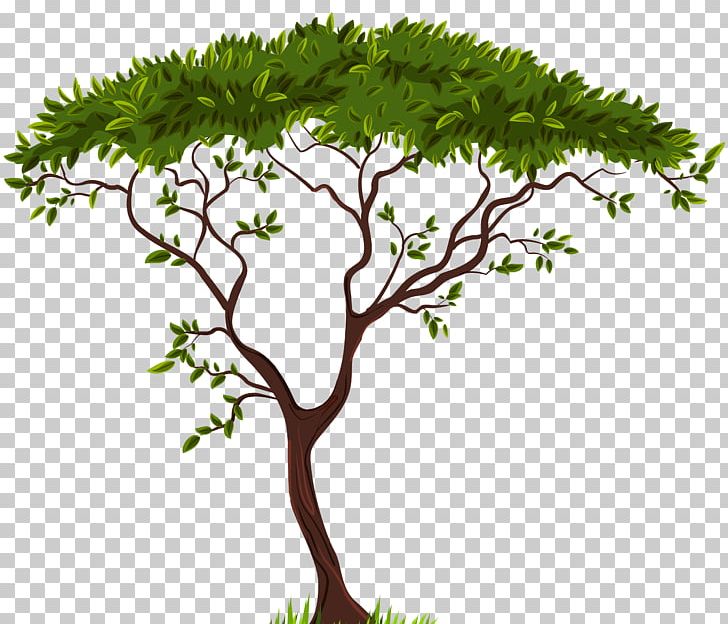 Tree Branch PNG, Clipart, Blog, Branch, Computer Icons, Desktop Wallpaper, Download Free PNG Download