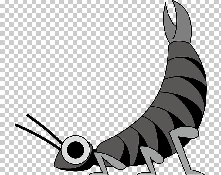 Horse Canidae Dog Fauna PNG, Clipart, Arm, Arm Cortexm, Beak, Black, Black And White Free PNG Download