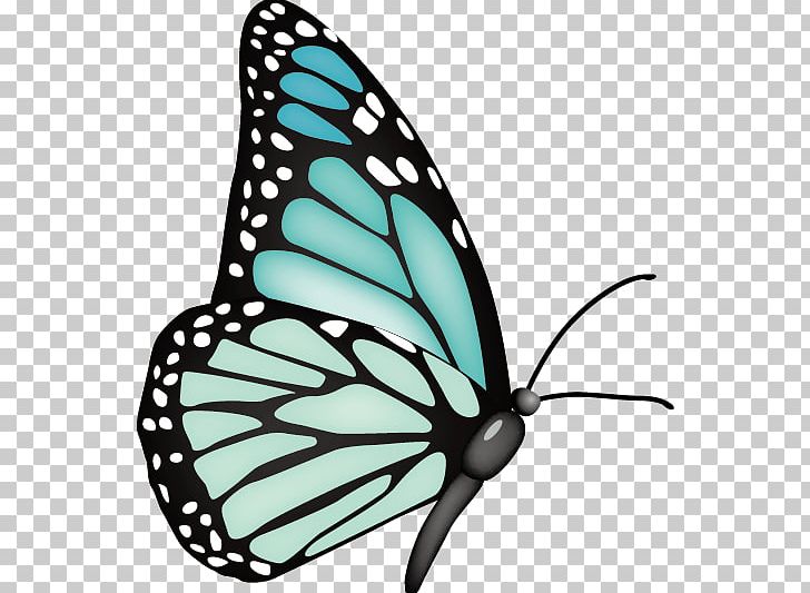 Monarch Butterfly PNG, Clipart, Adobe Illustrator, Brush Footed Butterfly, But, Butterflies, Butterfly Group Free PNG Download