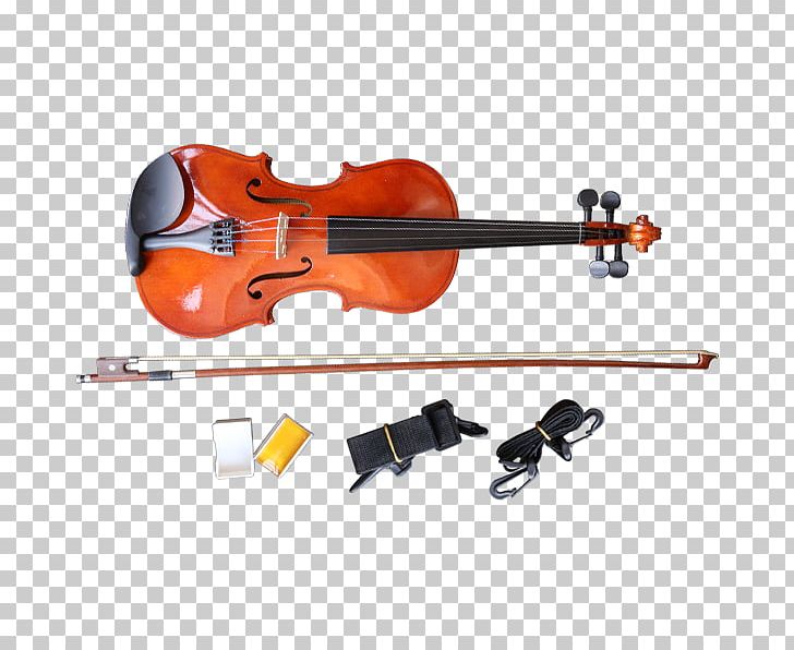 Bass Violin Viola Cello PNG, Clipart, Bass, Bass Guitar, Bass Violin, Bowed String Instrument, Cello Free PNG Download
