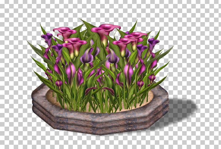 Floral Design Egyed Emmanuelle Cut Flowers Tulip PNG, Clipart, Crocus, Cut Flowers, Emmanuelle, Floral Design, Floristry Free PNG Download