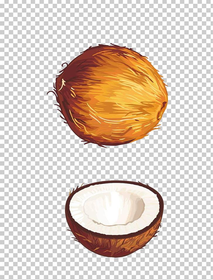 Fruit Coconut Euclidean Illustration PNG, Clipart, Adobe Illustrator, Auglis, Cdr, Coconut, Coconut Leaf Free PNG Download
