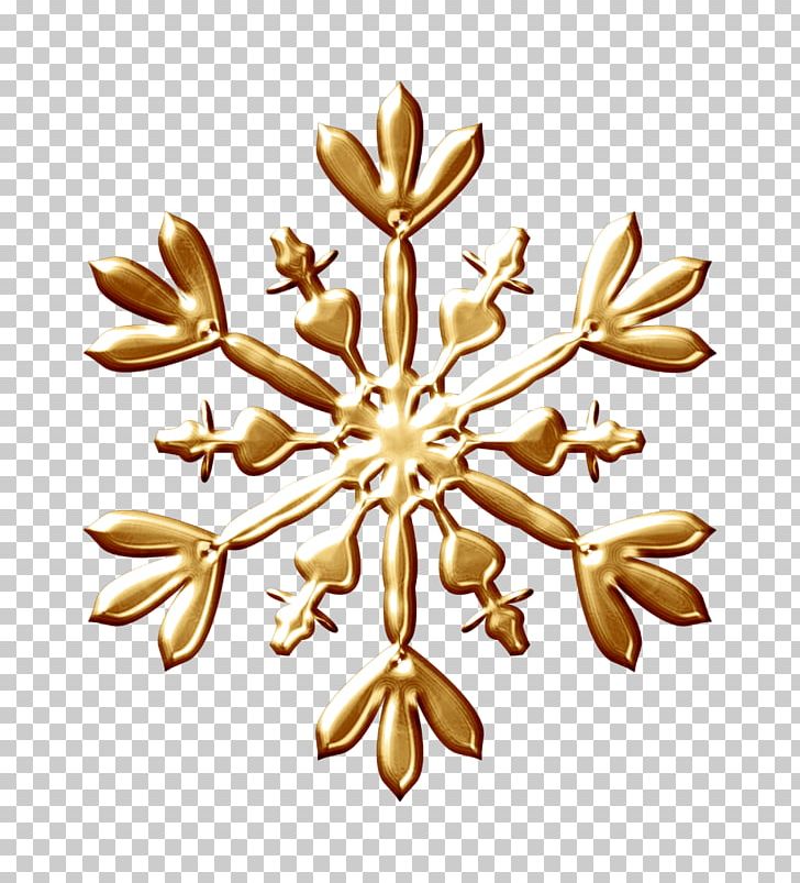 Snowflake Photography PNG, Clipart, Email, Executive Manager, Flower, Milanophotoru, Nature Free PNG Download