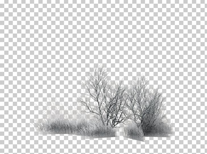 Branch Tree Painting Black PNG, Clipart, Black, Black And White, Branch, Grass, Monochrome Free PNG Download