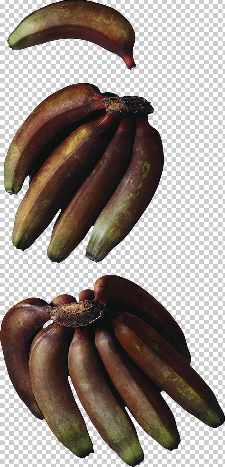 Cooking Banana Hardy Banana Red Banana Musa × Paradisiaca PNG, Clipart, Banana, Banana Family, Cooking, Cooking Banana, Cooking Plantain Free PNG Download