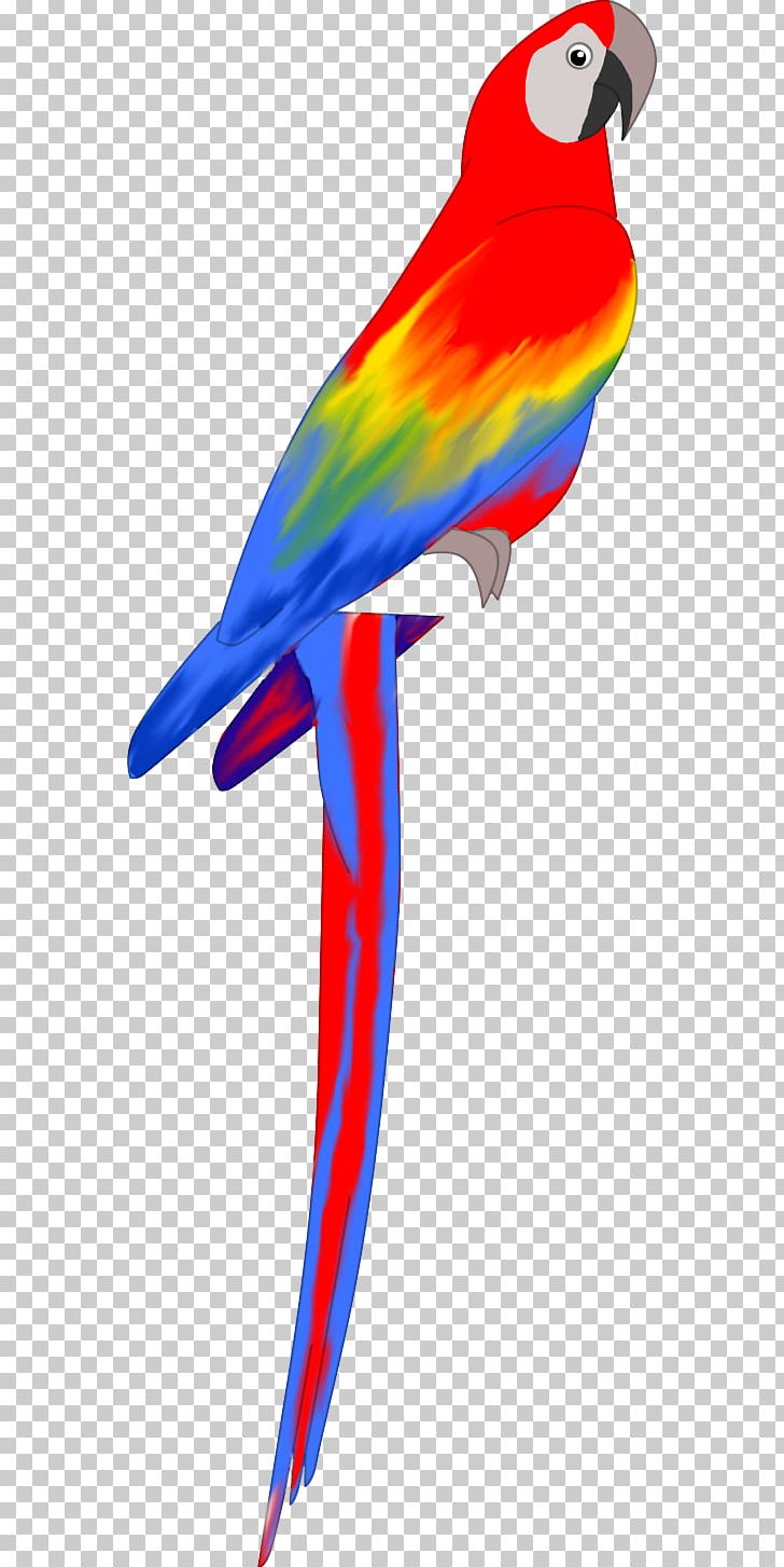 Macaw Feather Beak Parakeet Wing PNG, Clipart, Animal, Animal Figure, Beak, Bird, Common Pet Parakeet Free PNG Download