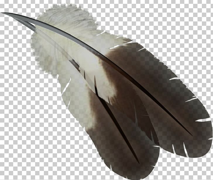 Feather PNG, Clipart, Feather Free PNG Download