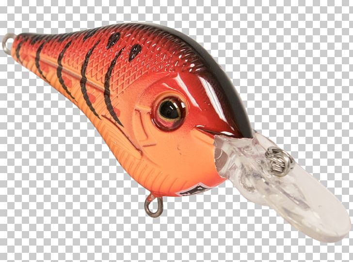 Fishing Baits & Lures Beak PNG, Clipart, Bait, Beak, Fish, Fishing, Fishing Bait Free PNG Download