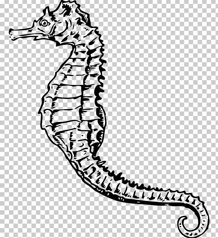 Seahorse PNG, Clipart, Animals, Area, Artwork, Black And White, Computer Icons Free PNG Download