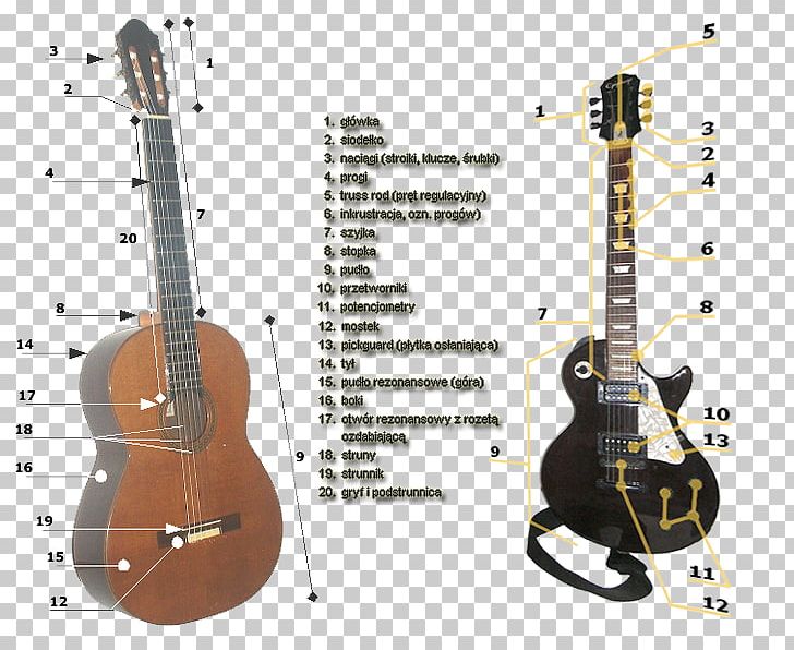 Seven-string Guitar Electric Guitar Classical Guitar Acoustic Guitar PNG, Clipart, Classical Guitar, Guitar Accessory, Machine Head, Musical Instrument, Neck Free PNG Download