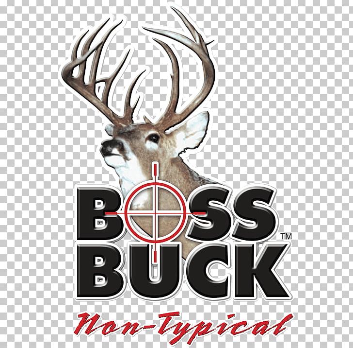 White-tailed Deer Boss Buck Deer Hunting PNG, Clipart, Animals, Antler, Biggame Hunting, Boss Buck, Brand Free PNG Download