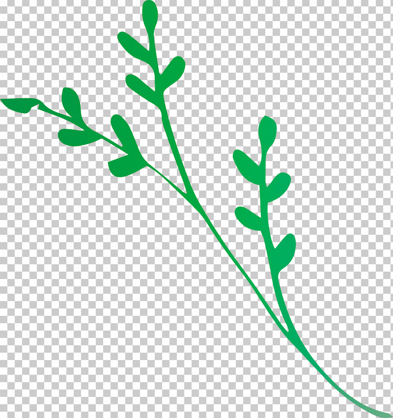 Leaf Branch PNG, Clipart, Biology, Branch, Flower, Garlic Peeler, Herbaceous Plant Free PNG Download