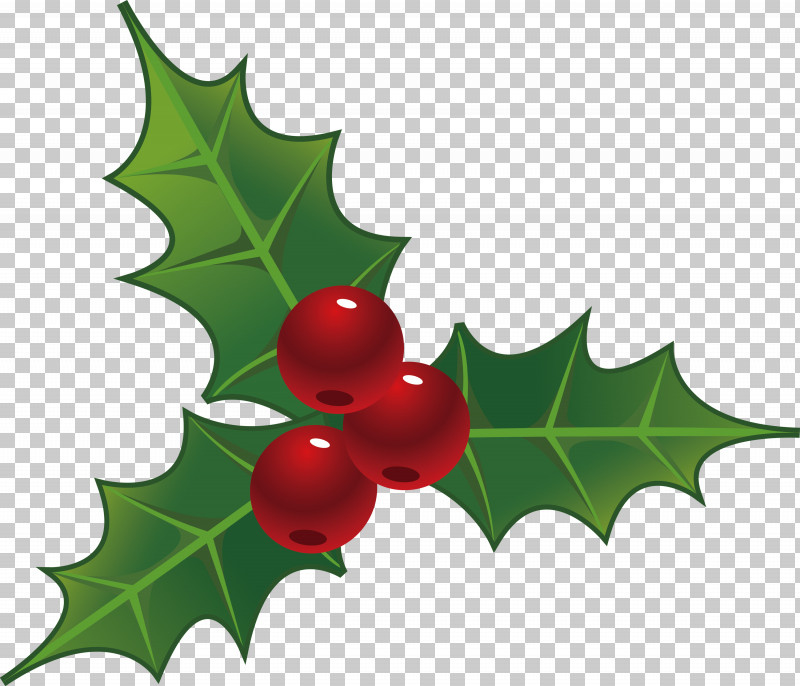 Christmas Christmas Ornaments PNG, Clipart, American Holly, Chinese Hawthorn, Christmas, Christmas Ornaments, Flower Free PNG Download